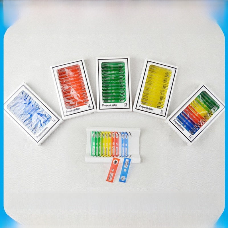 Prepared Discovery Slide Set