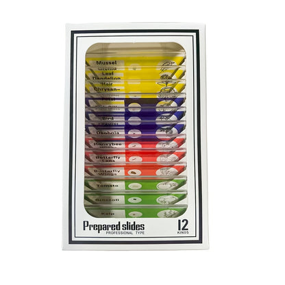 Prepared Discovery Slide Set