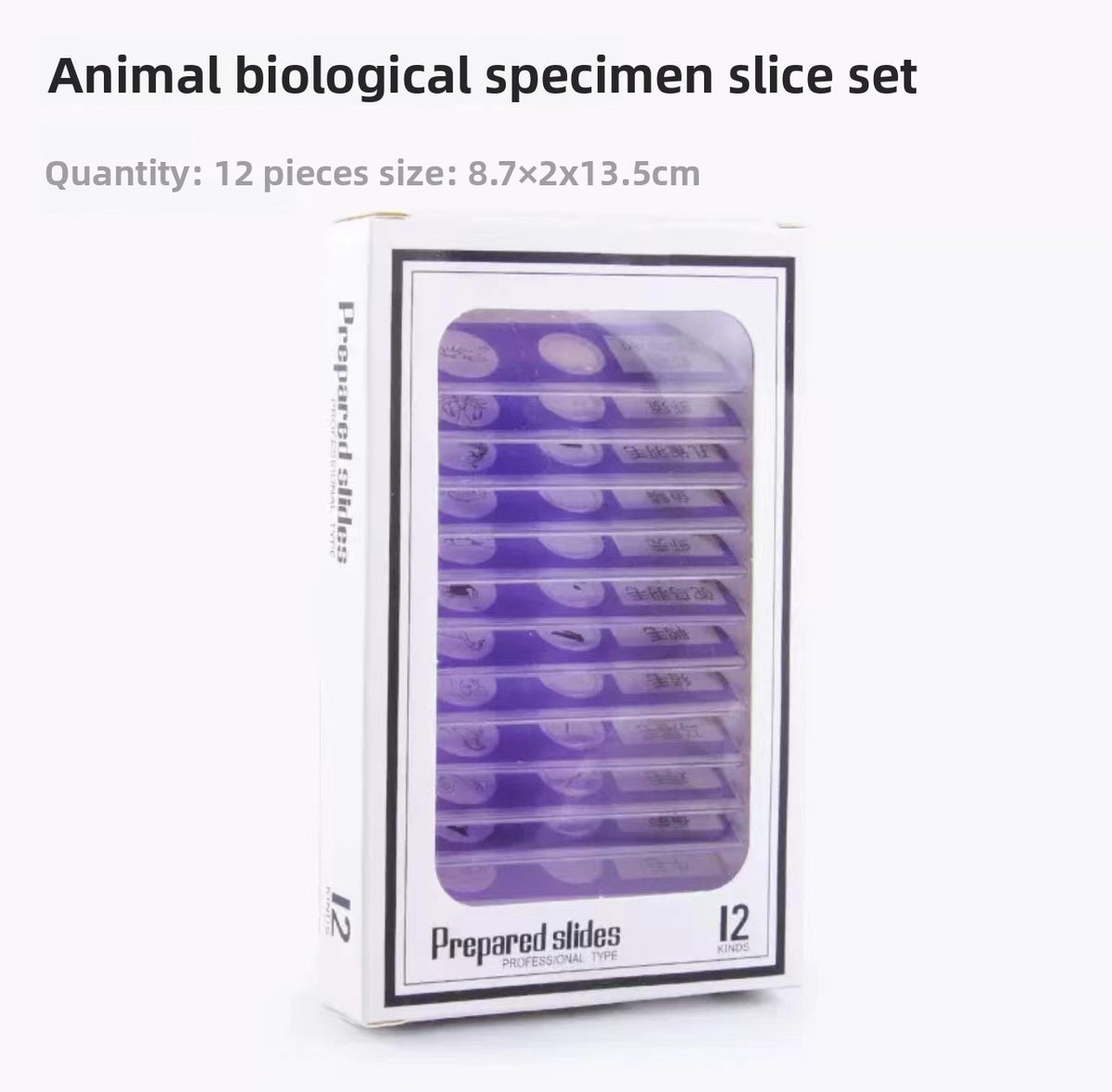 Prepared Discovery Slide Set